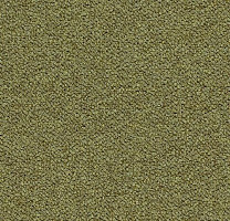 Ковровая плитка Tessera Chroma 3613 Pasture фото 1 | FLOORDEALER